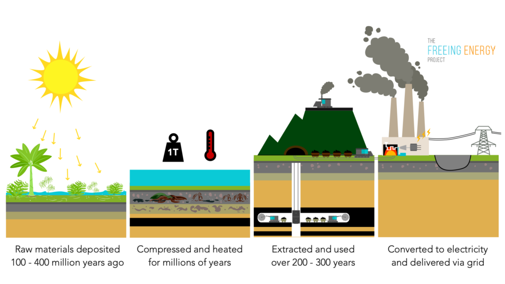 The lifecycle of coal, from sunlight to electricity