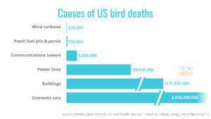 Cause of US Bird Deaths