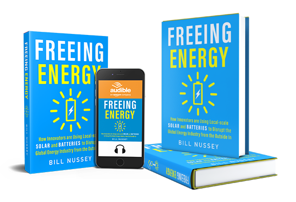 The Freeing Energy book